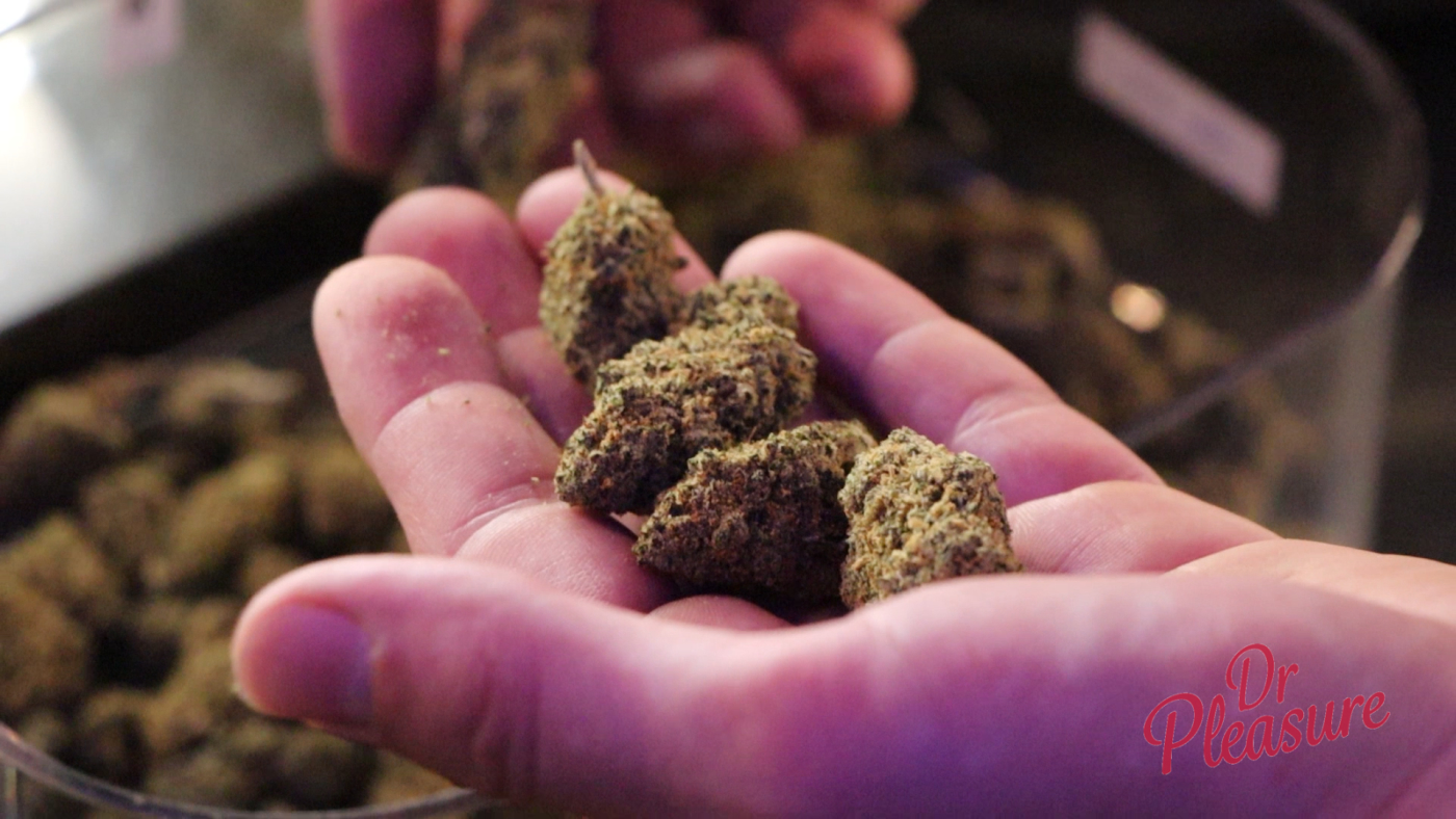 Altijd de beste kwaliteit Cannabis toppen